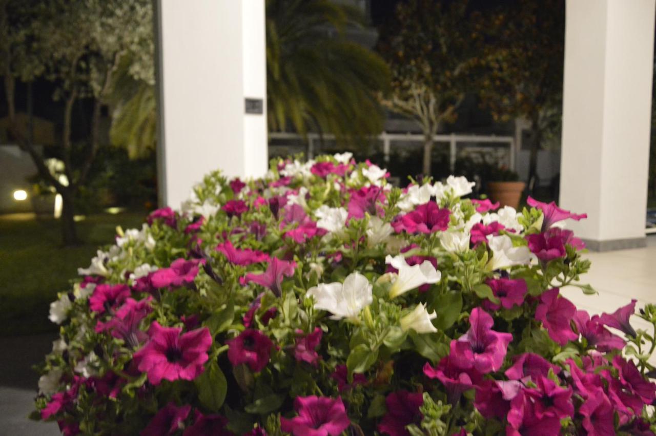 Hotel Fortunella Λίντο ντι Καμαϊόρε Εξωτερικό φωτογραφία